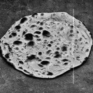 Tandoori Missi Parantha