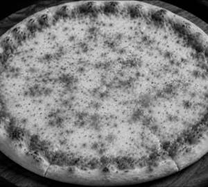 Margherita Pizza  [7 Inches]