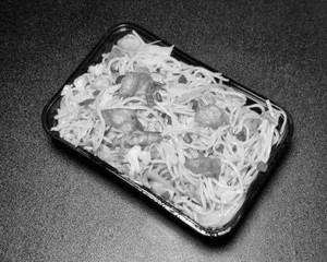 Prawn Noodles