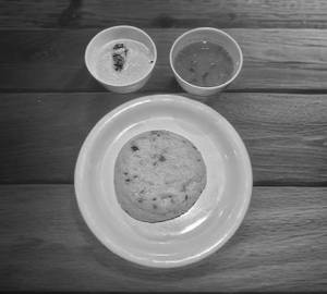 Pongal