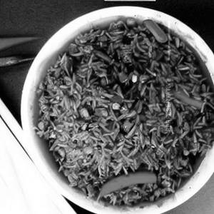 Veg Fried Rice