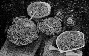 Chicken Hakka Noodles