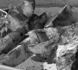 Potato Wedges Fry