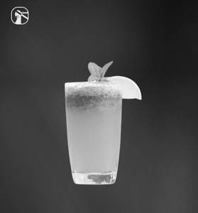 Lemon & Mint Juice