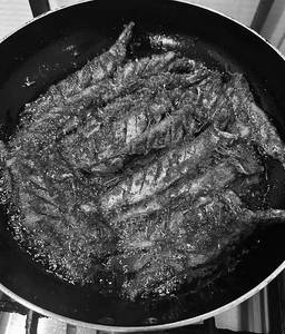 Matthi Fry