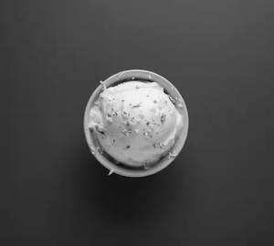 Tender Coconut