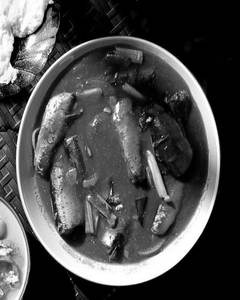 Matthi Curry