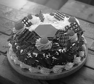 Dual Forest Round [Medium]