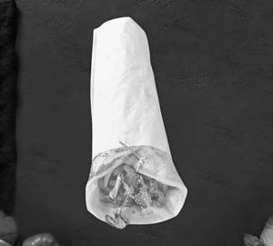Chicken Roll