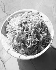 Hakka Noodles