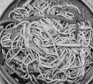 Chilli garlic noodles [mixed]