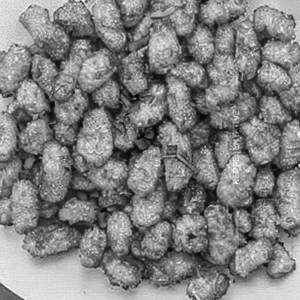 Golden fried crispy corn