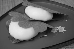 Kashiwa Mochi