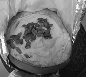 Intermittent Fasting Almond Milk Yoghurt Inside Tender Coconut (100 Gms)              
