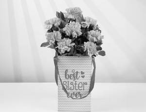 Pink Carnation Floral Box For Sister