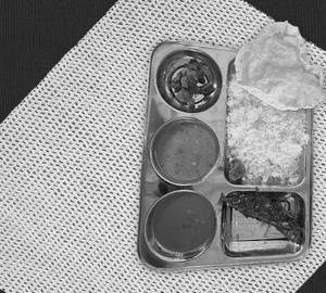 Normal Fish Thali
