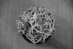 Chicken Noodles