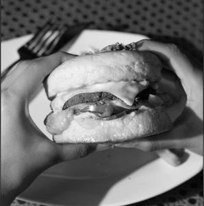 Classic Bite Burger