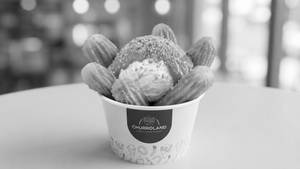 Biscoff Ice Cream Churros