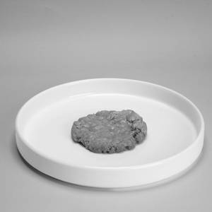 Oatmeal Cookie