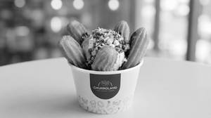 Classic Ice Cream Churros