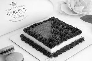 Belgium Chocolate Cheesecake