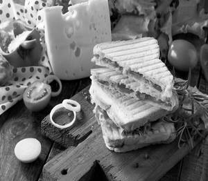 Plain Cheese Sandwich