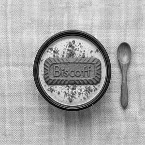 Biscoff Milk Icecream