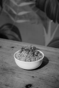 Cilantro Burn Garlic Fried Rice