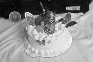 Premium Mango Cake