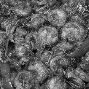 Andhra Prawns Fry