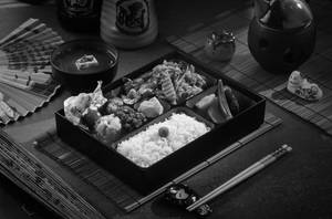 Hoikoro Bento