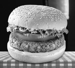 Vegetable Burger