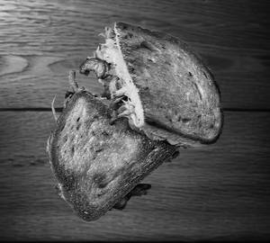 Mushroom Melt Sandwich