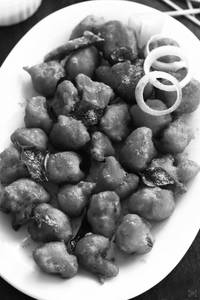 Gobi 65