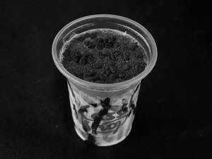 Ferrero Automatic Shake