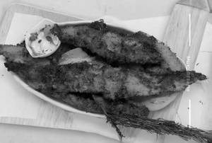 Ayala fry