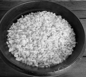 Plain Rice