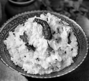 Curd Rice 