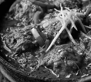 Rara Meat