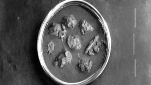 Guntur Chicken Curry 