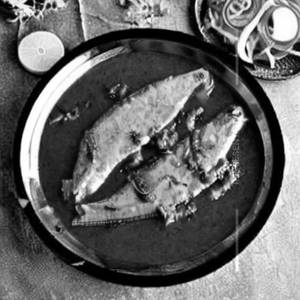 Nilgiri fish (nv)