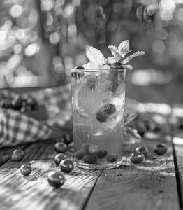 Cranberry Mojito