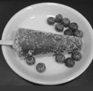Blueberry Premium Stick