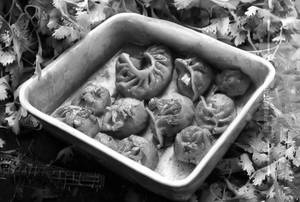 Veg Tandoori Momos