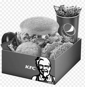 Zinger Meal Box 