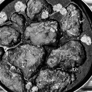 Guntur Chicken Dry