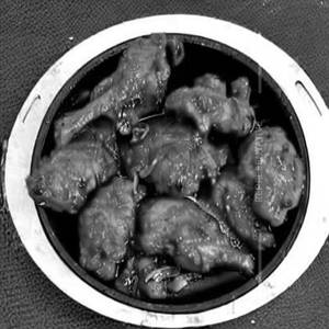 Chicken Manchuri Boneless