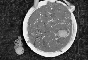 Aaye Din Bahar Ke (chaap Gravy)