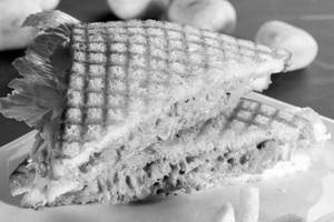 Chicken Grill Sandwich
